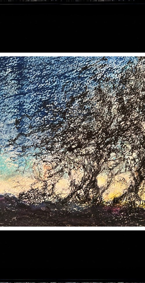 Glow of the Setting Sun by Maxence Ma