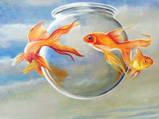 Goldfish XXII