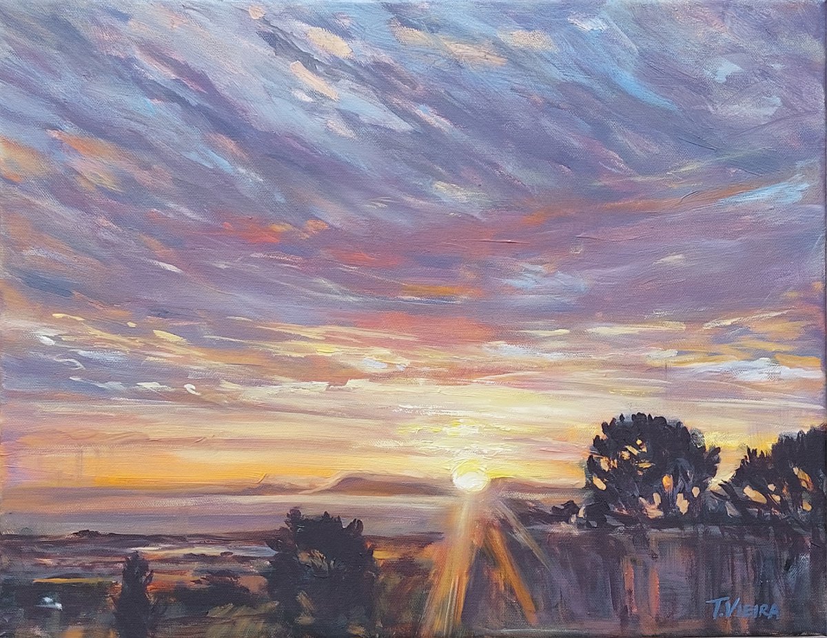 Sunset at Irene by Tamara Vieira