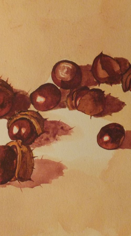 Still Life with Conkers by David Harmer