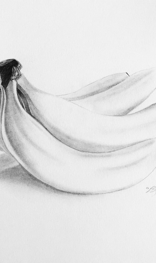 Bananas by Amelia Taylor