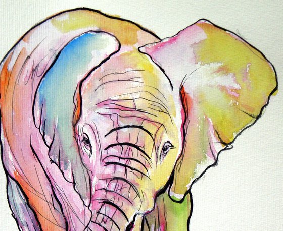 Elephant baby