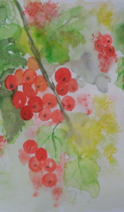 Red currants by Maria Karalyos