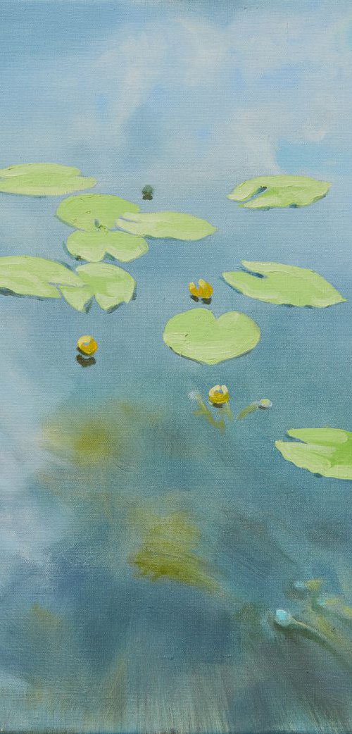 Water Lilies - I by Alexander Levich