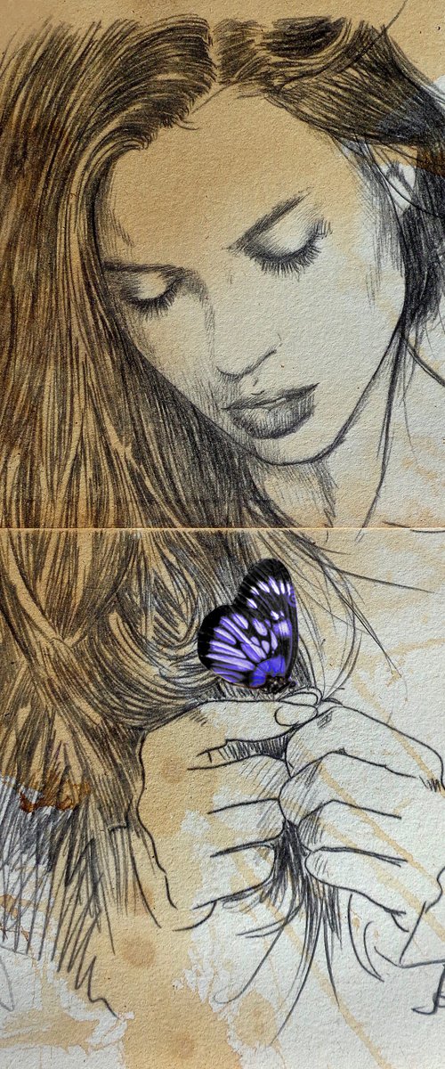 BLUE BUTTERFLY by Loui Jover