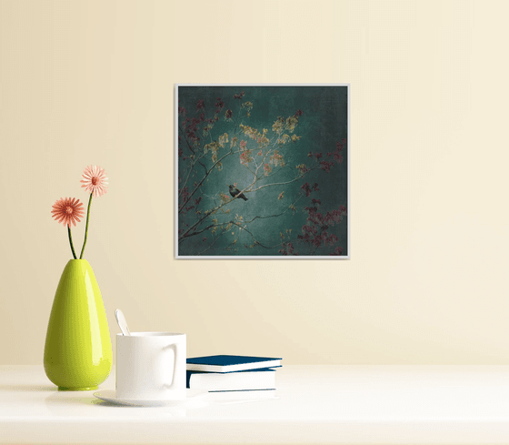 European Starling - 8 x 8"