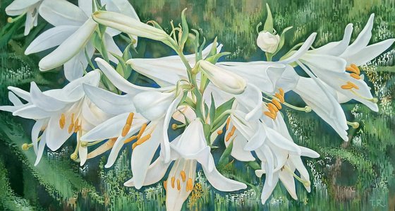 WHITE LILIES