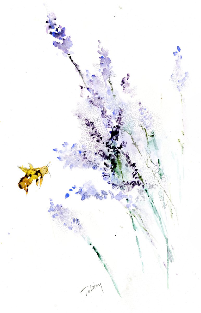 Lavender by Alex Tolstoy