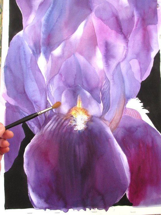 50 shades of purple Watercolour by Alfred Ng | Artfinder