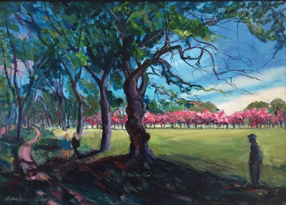 'The Meadows, Edinburgh, with Cherry Trees in blossom.'