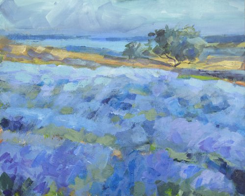 Lavender fields from island Hvar by Goran Žigolić Watercolors