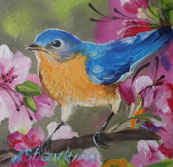 Bird of Happiness. Bluebird