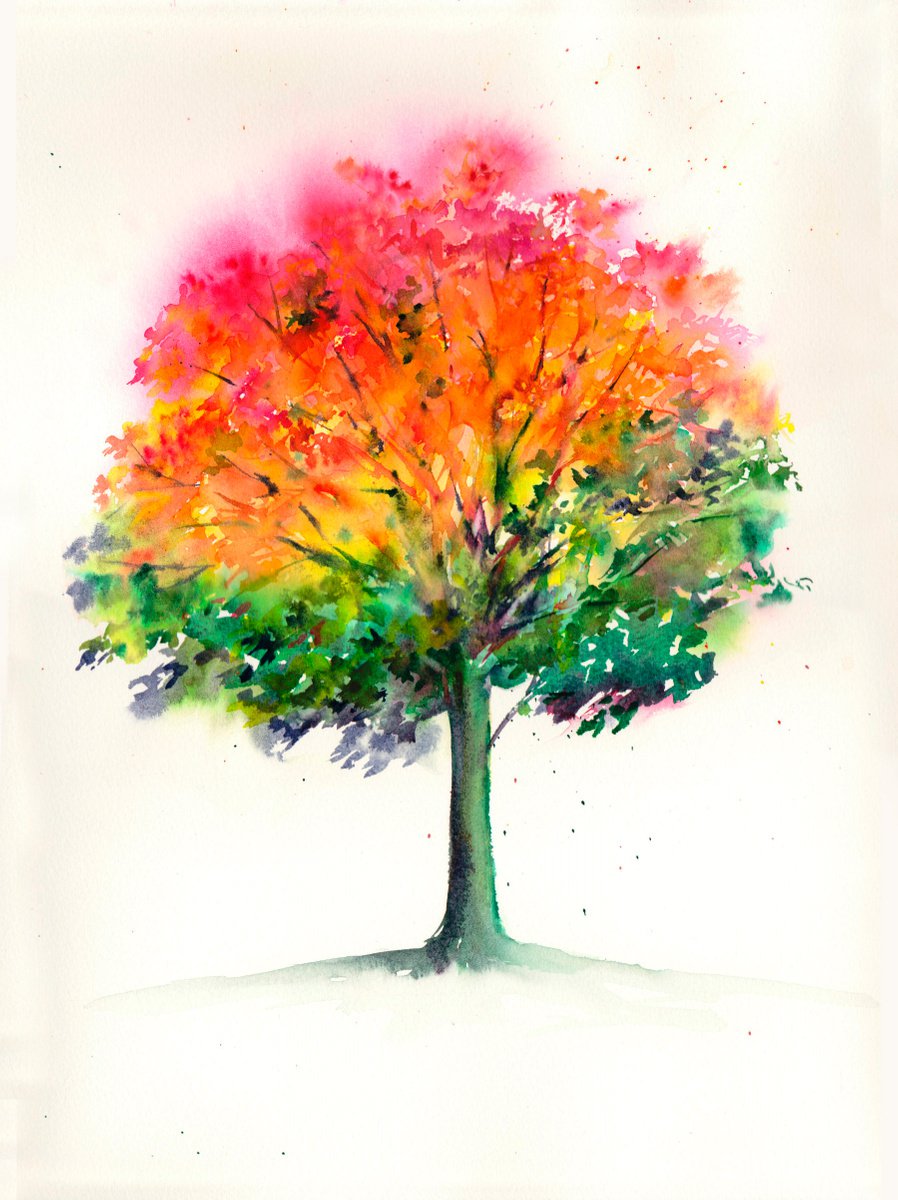 Tree - Original Watercolour Painting by Anjana Cawdell