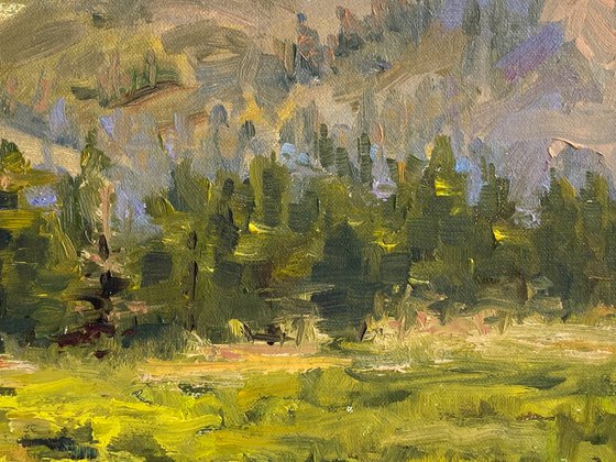 Hope Valley Colors Plein Air Landscape