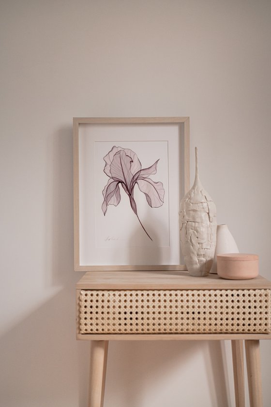 3 Irises