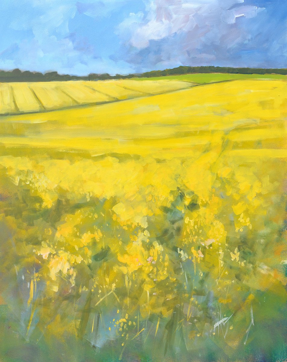 May fields. by Tom Cringle