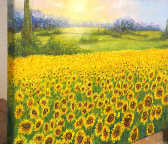 Sunflowers field