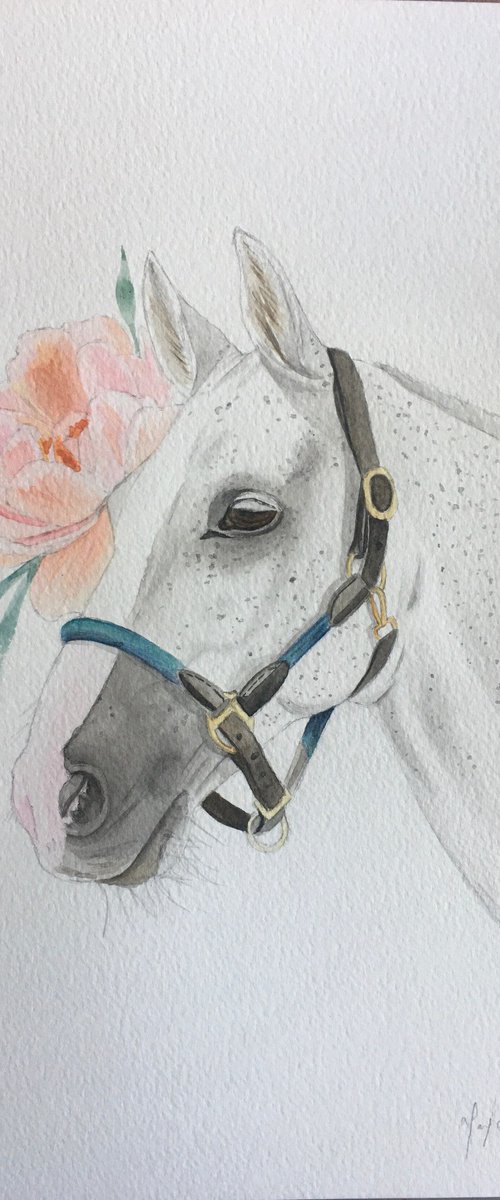 Horse and peony by Amelia Taylor