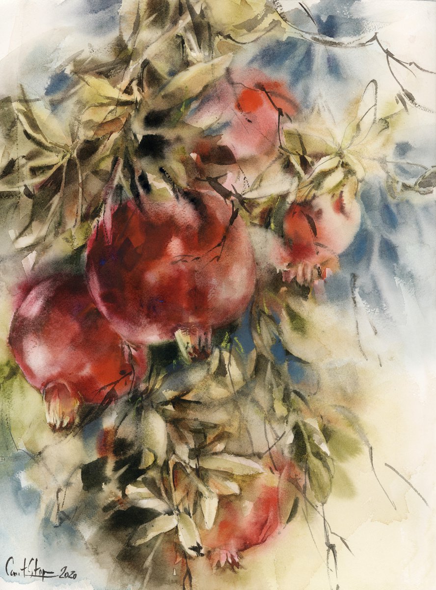 Pomegranates by Sophie Rodionov