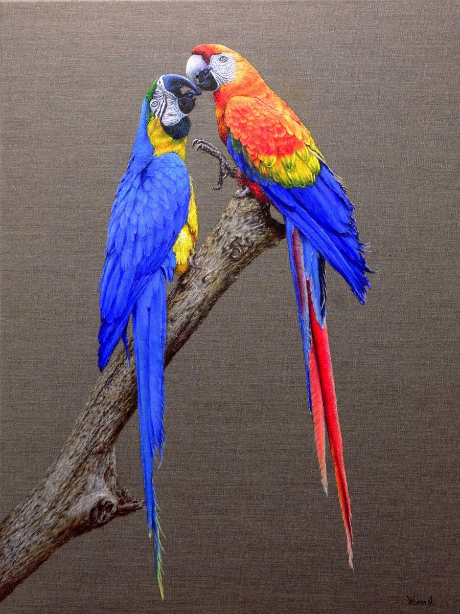 Animal Oil Painting By Anastasia Woron, 21 X 29, Loving Macaws., Original Artwork