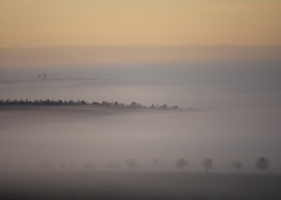 Foggy morning