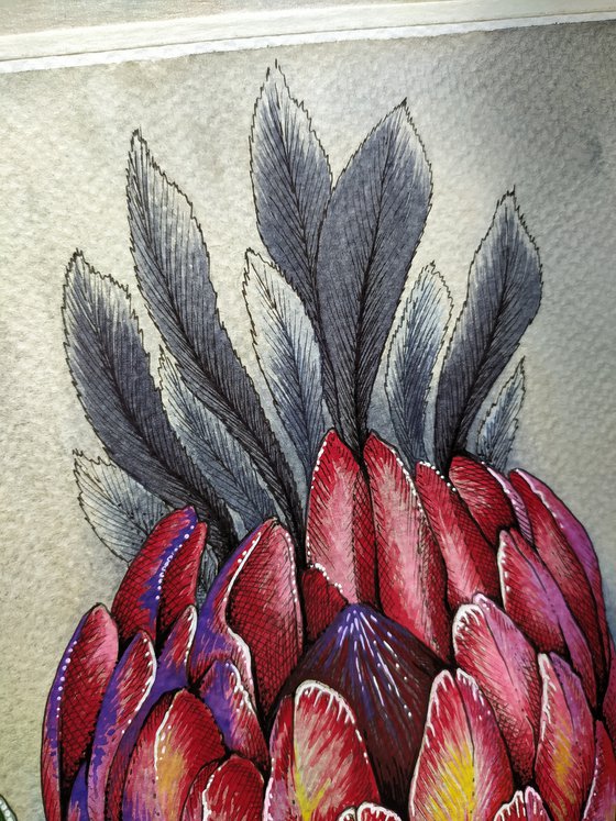 Protea