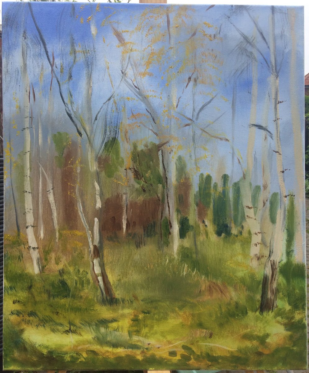 Impressionistic Landscape Oil Painting By Sarah Louise Armstrong, 20 X 24", Silver Birch, Original Artwork