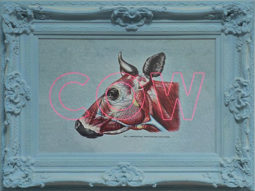 Cow by Dangerous Minds Artists