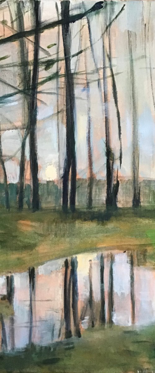 Reflections in the puddle by Sandra Haney