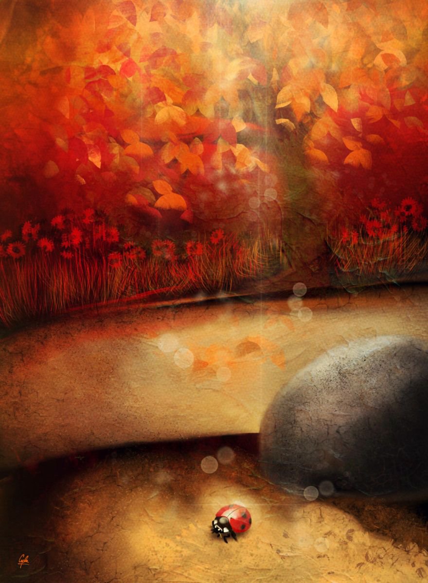 THE LADYBUG | 2012 | DIGITAL ARTWORK PRINTED ON PHOTO PAPER | HIGH QUALITY | LIMITED EDITI... by Simone Morana Cyla