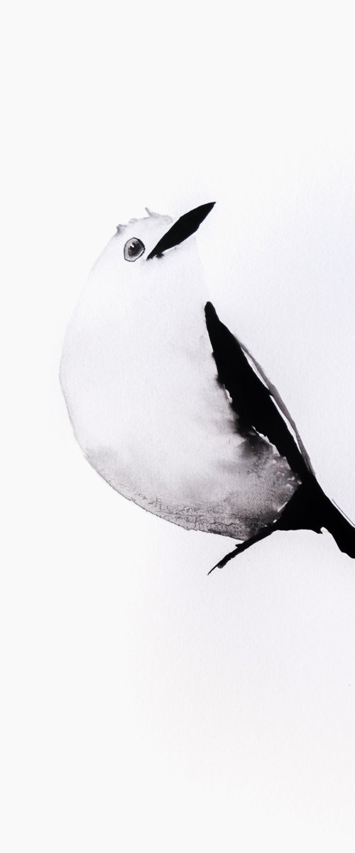 Bird by Nadia Moniatis