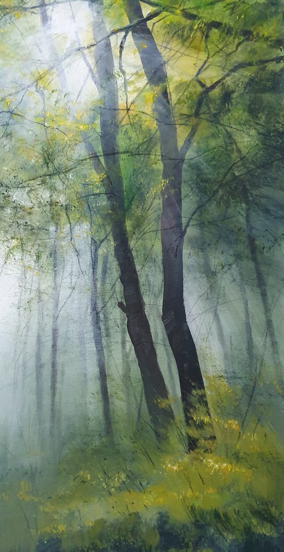 " Sun beams in the foggy  forest "