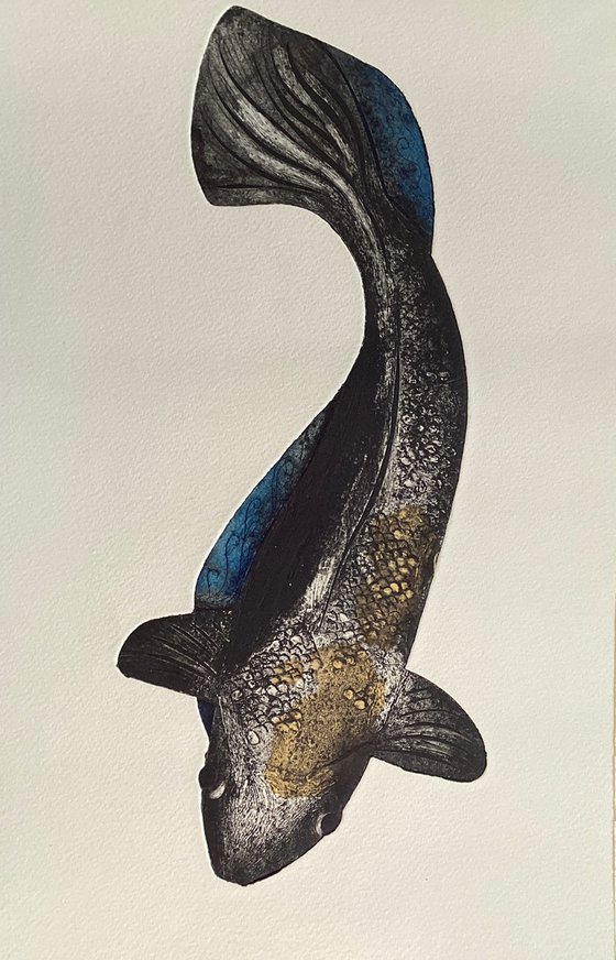 Being Koi 1