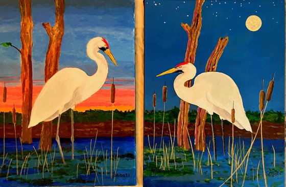 DAWN & DUSK