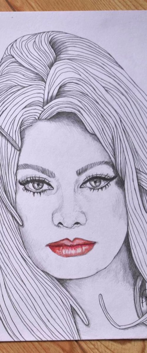 Sophia Loren Pencil Portrait by Paul Nelson-Esch