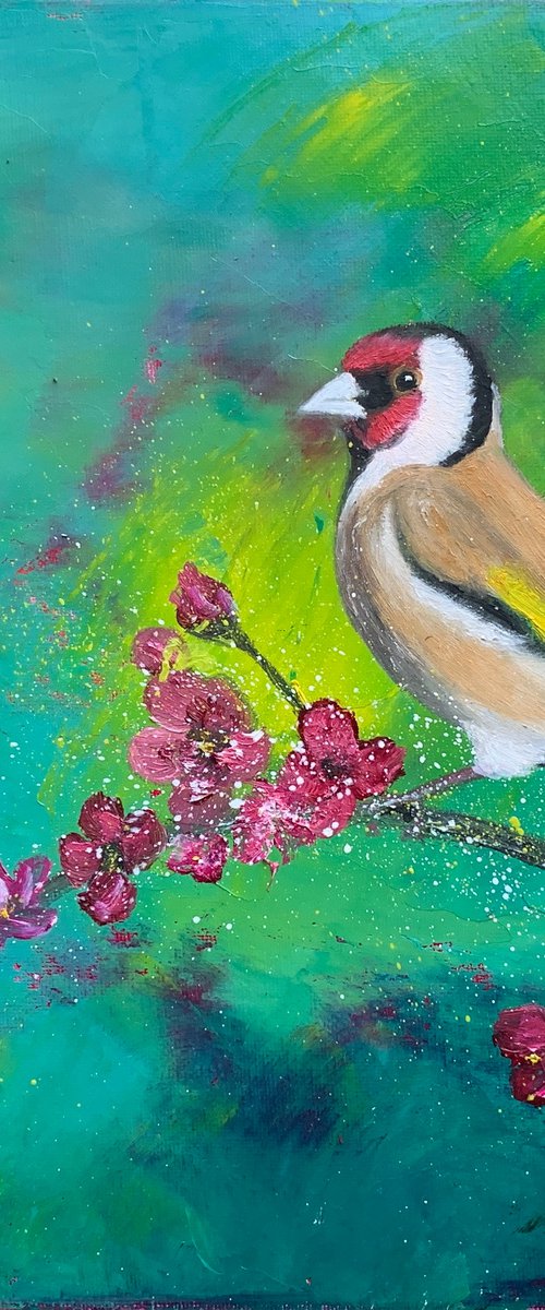 Goldfinch on blossom by Laure Bury
