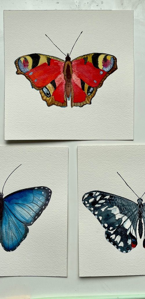 Set of 3 Paintings, Butterfly Watercolor Original Art, 3 Piece Wall Art, Cottagecore Decor by Kate Grishakova