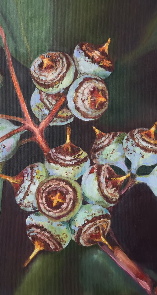 Eucalyptus branch by Olha Laptieva