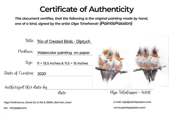 Trio Of Crested Birds - Diptych