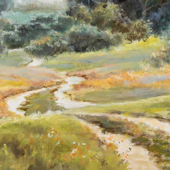 Path through the sunny meadow