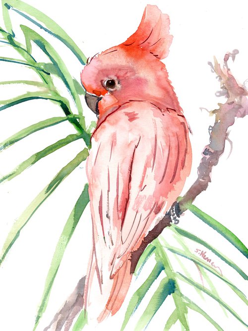 Pink Cockatoo Bird by Suren Nersisyan