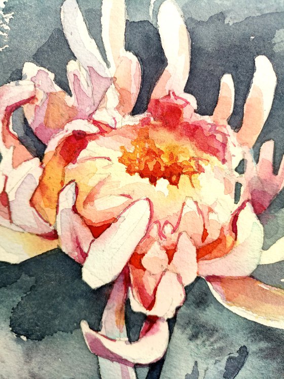 "Dance of the chrysanthemum flower" original watercolor artwork