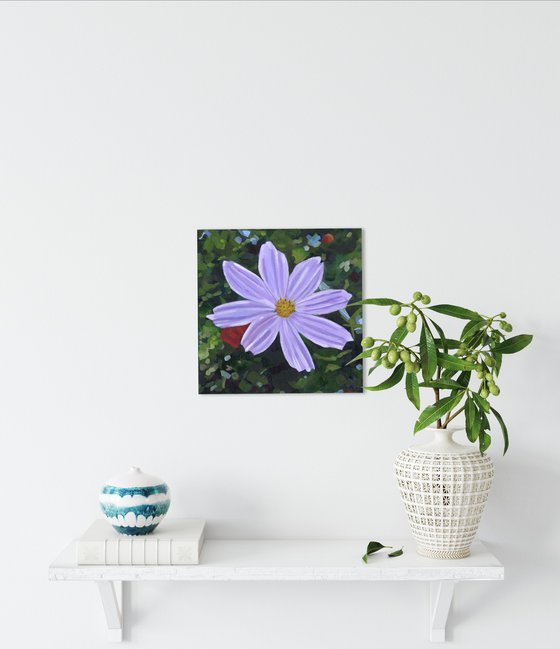 Purple Cosmos Flower