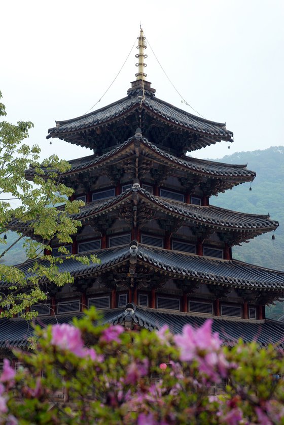 Five Stories Reaching Through Spring