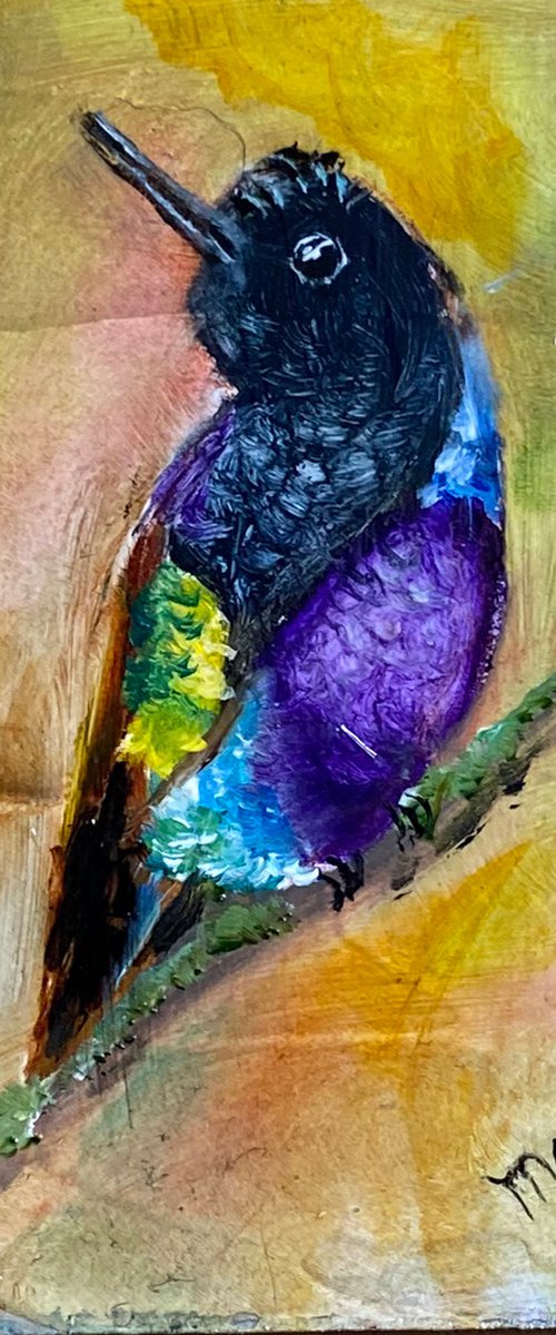 Black Throated Violet Fronted  Hummingbird Original Oil on gessoed masonite 5x7 gold frame by Mary Gullette