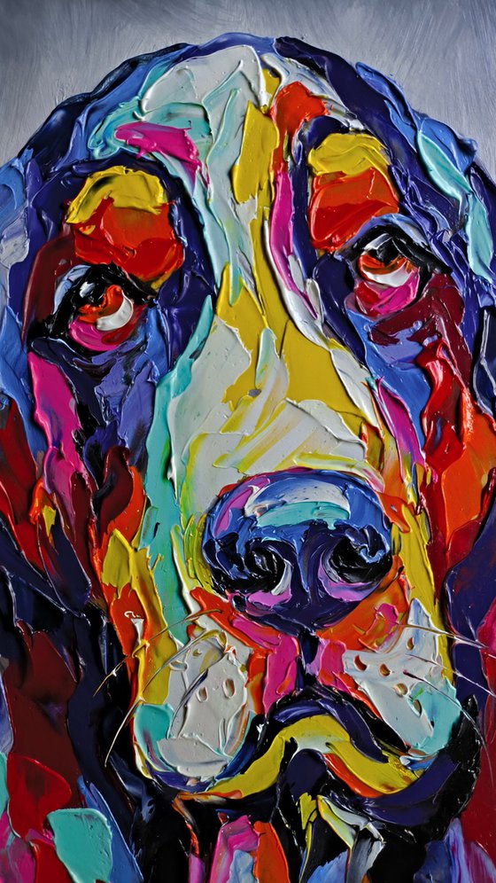 Basset Hound