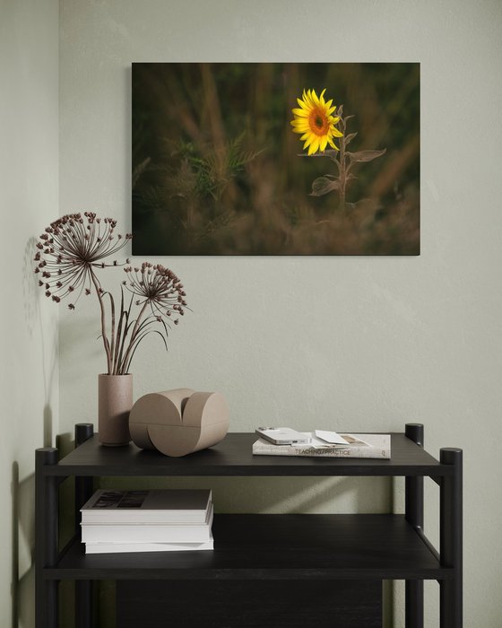 Golden Silence V – Solitary Light