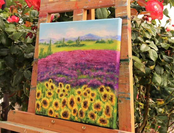 Sunflowers and lavender fields in summer