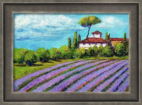 Miniature landscape of Lavender fields