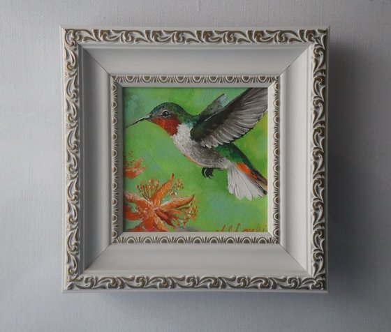 bird miniature framed art